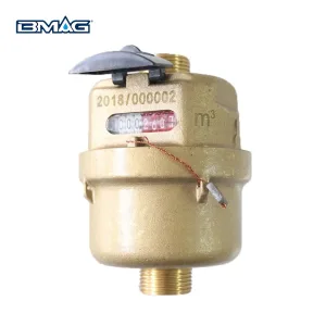 BMAG PD-LFC Brass Piston Displacement Volumetric Water Meter (6)
