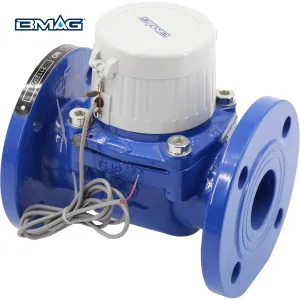 WP-SDC Removable Element Woltman Water Meter (7)