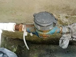 Rusted Outdoor Water Meter