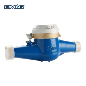 MTW DN25 Water Meter