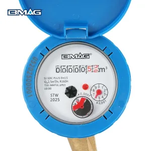 Nicht-magnetischer induktiver Wasserzähler